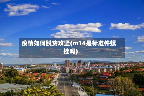 疫情如何脱贫攻坚(m14是标准件螺栓吗)