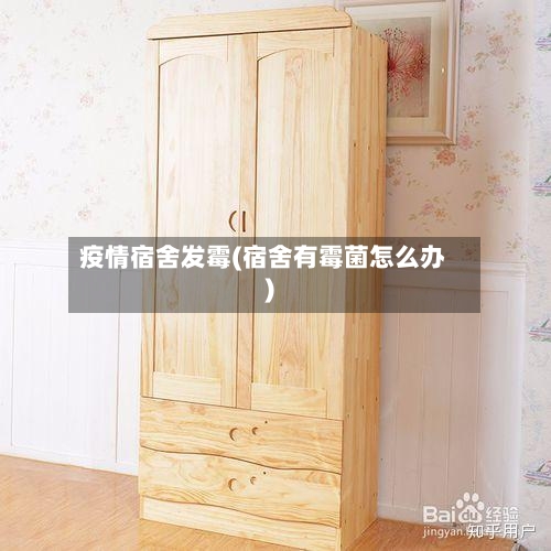 疫情宿舍发霉(宿舍有霉菌怎么办)-第2张图片