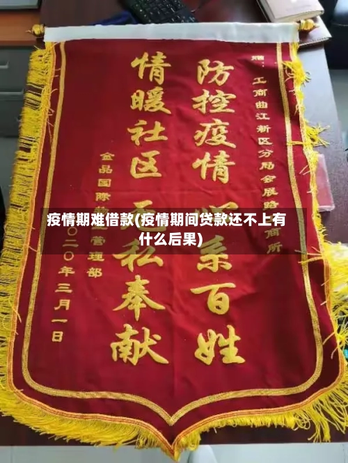 疫情期难借款(疫情期间贷款还不上有什么后果)