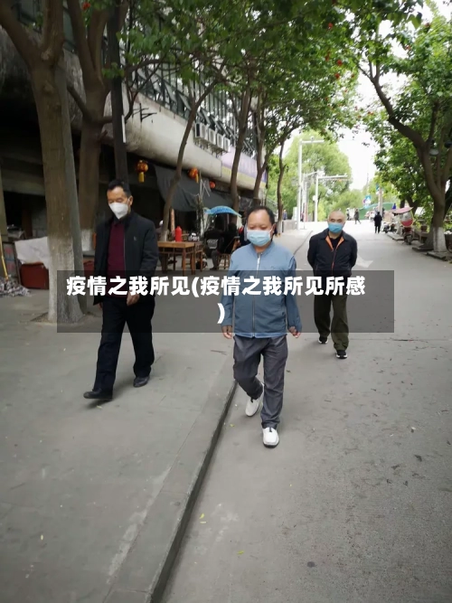 疫情之我所见(疫情之我所见所感)