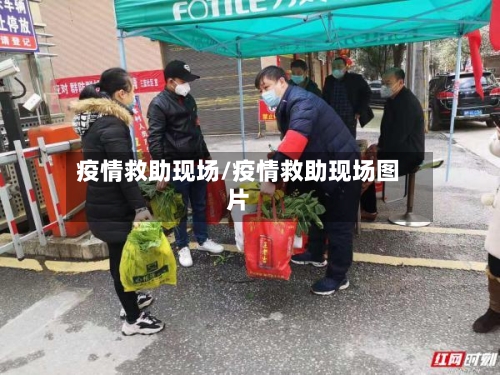疫情救助现场/疫情救助现场图片