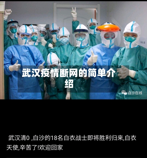 武汉疫情断网的简单介绍