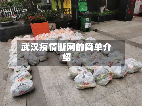 武汉疫情断网的简单介绍-第2张图片