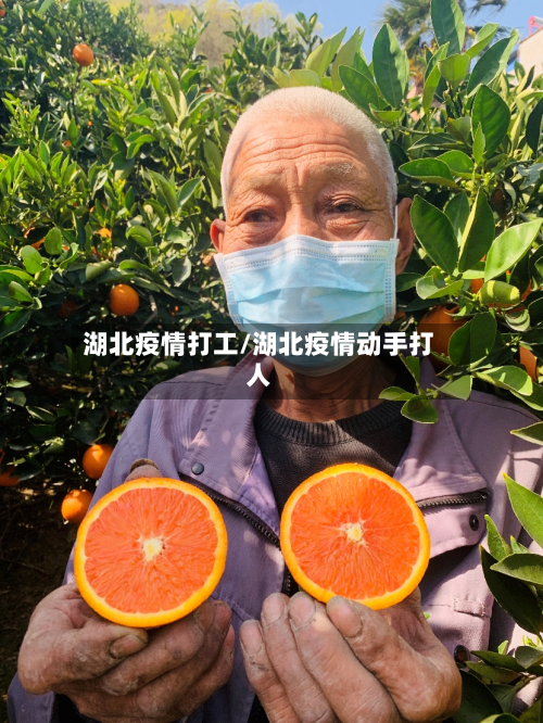 湖北疫情打工/湖北疫情动手打人-第2张图片
