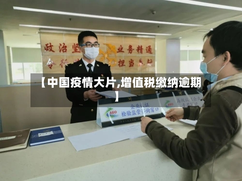 【中国疫情大片,增值税缴纳逾期】-第2张图片