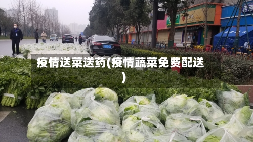疫情送菜送药(疫情蔬菜免费配送)