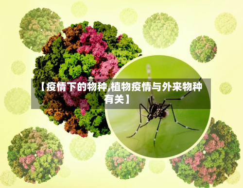 【疫情下的物种,植物疫情与外来物种有关】-第3张图片
