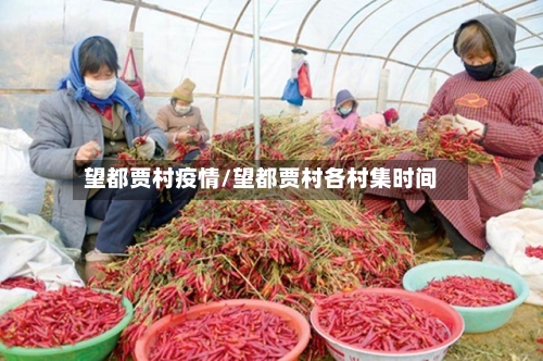 望都贾村疫情/望都贾村各村集时间-第2张图片