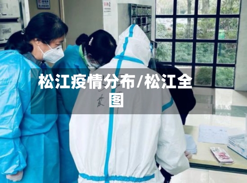 松江疫情分布/松江全图