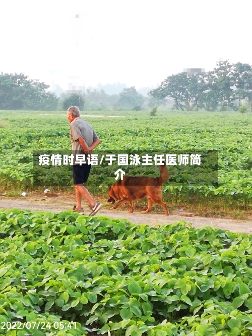疫情时早语/于国泳主任医师简介-第3张图片