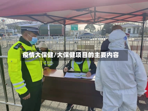 疫情大保健/大保健项目的主要内容