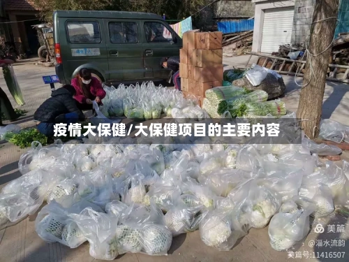 疫情大保健/大保健项目的主要内容-第3张图片