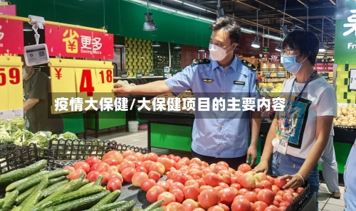 疫情大保健/大保健项目的主要内容-第2张图片