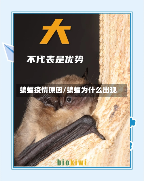 蝙蝠疫情原因/蝙蝠为什么出现