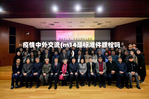 疫情中外交流(m14是标准件螺栓吗)