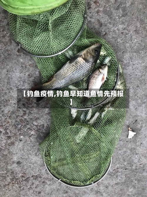 【钓鱼疫情,钓鱼早知道鱼情先预报】-第3张图片