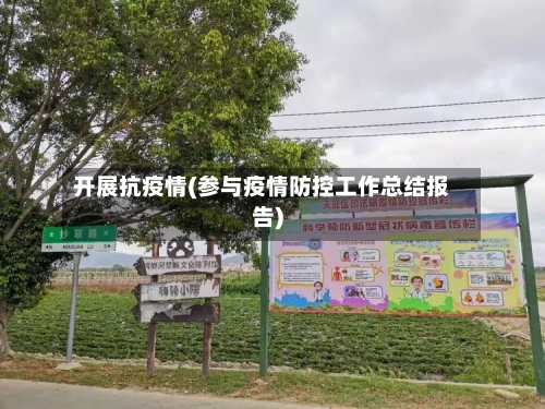 开展抗疫情(参与疫情防控工作总结报告)