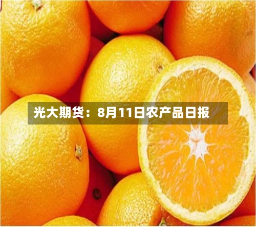光大期货：8月11日农产品日报