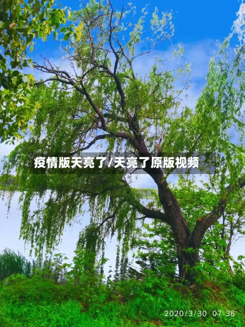 疫情版天亮了/天亮了原版视频-第3张图片