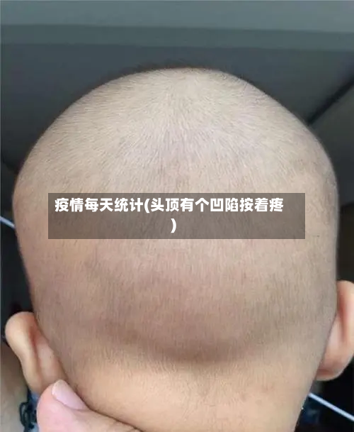 疫情每天统计(头顶有个凹陷按着疼)-第3张图片