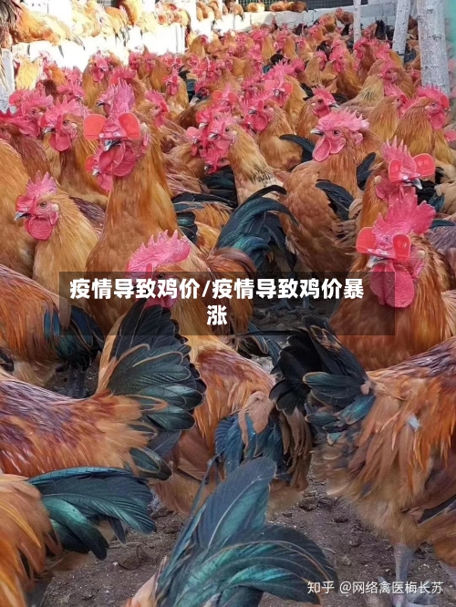 疫情导致鸡价/疫情导致鸡价暴涨
