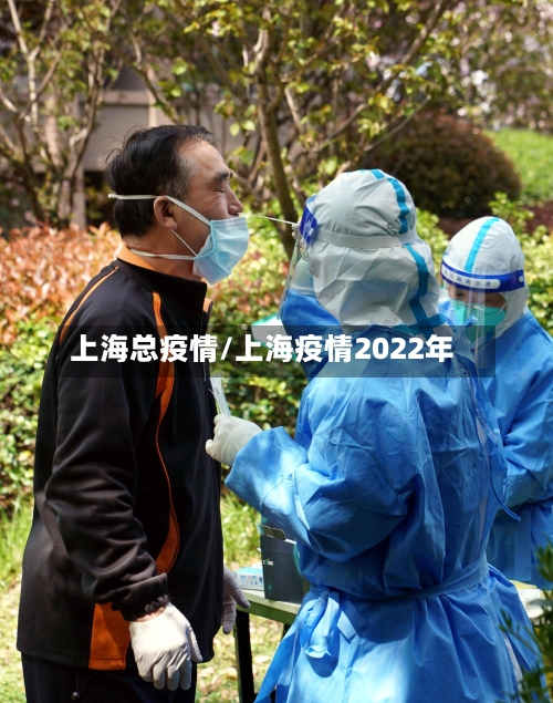 上海总疫情/上海疫情2022年-第3张图片