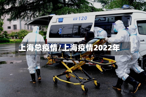上海总疫情/上海疫情2022年-第2张图片