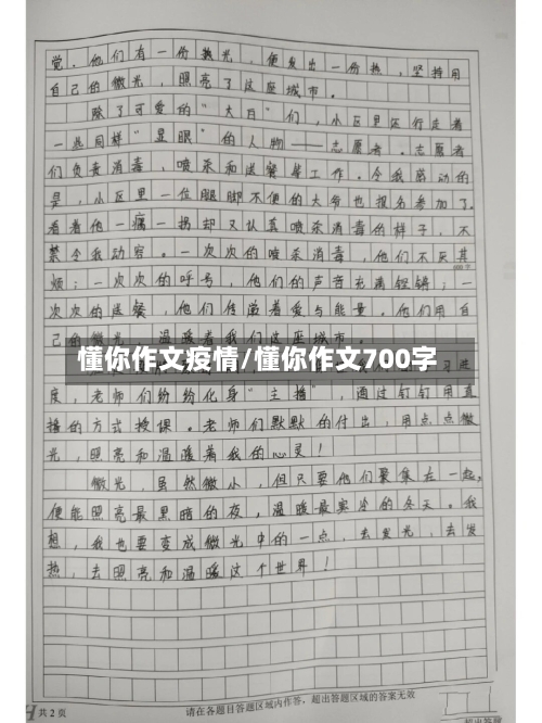 懂你作文疫情/懂你作文700字