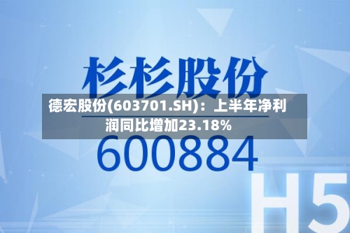 德宏股份(603701.SH)：上半年净利润同比增加23.18%