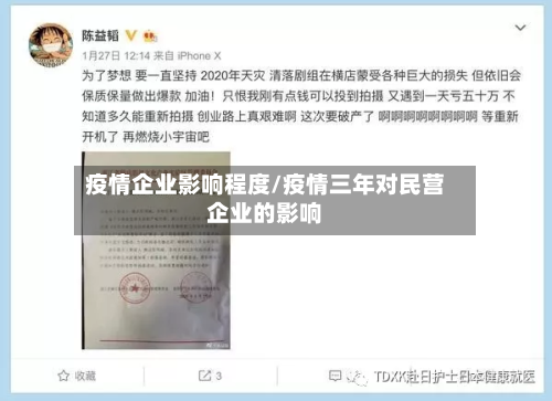 疫情企业影响程度/疫情三年对民营企业的影响