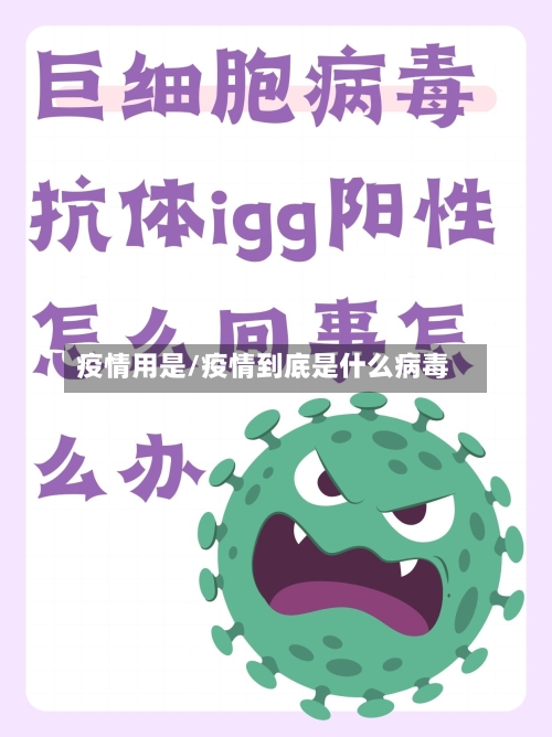 疫情用是/疫情到底是什么病毒