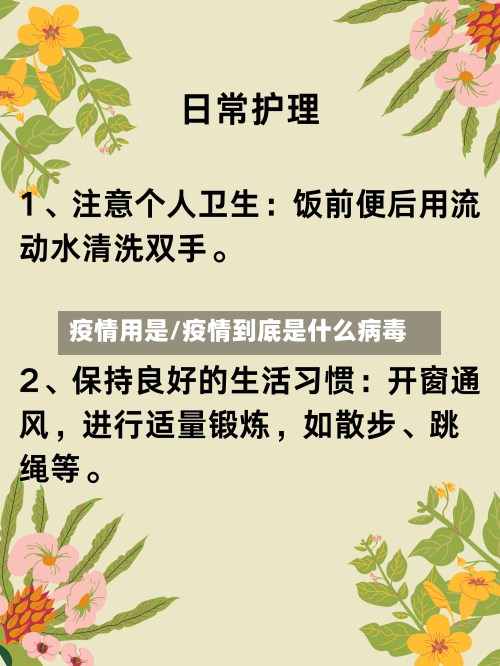 疫情用是/疫情到底是什么病毒-第3张图片