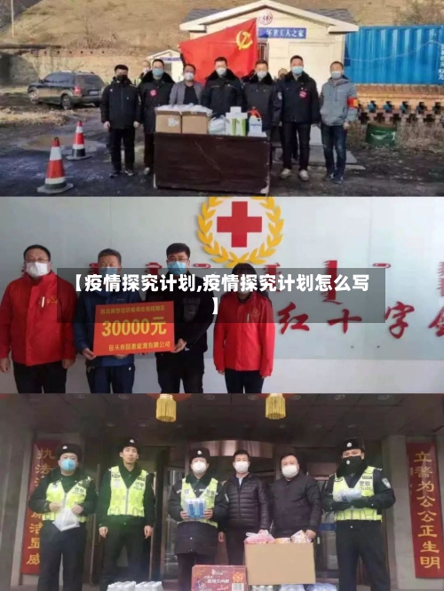【疫情探究计划,疫情探究计划怎么写】