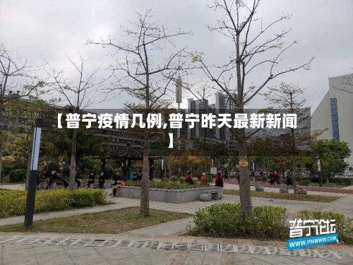 【普宁疫情几例,普宁昨天最新新闻】
