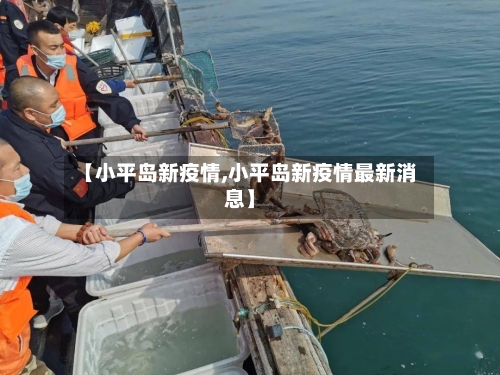 【小平岛新疫情,小平岛新疫情最新消息】
