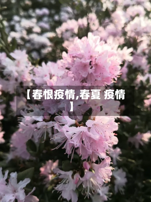 【春恨疫情,春夏 疫情】-第2张图片