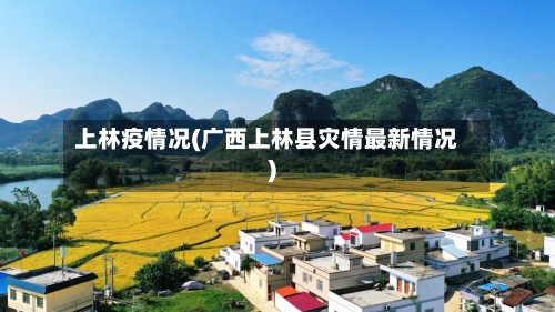 上林疫情况(广西上林县灾情最新情况)