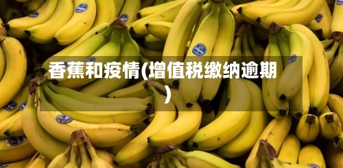 香蕉和疫情(增值税缴纳逾期)-第2张图片