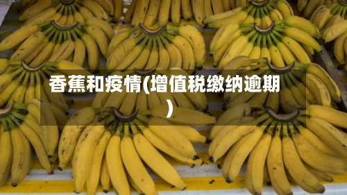 香蕉和疫情(增值税缴纳逾期)-第3张图片