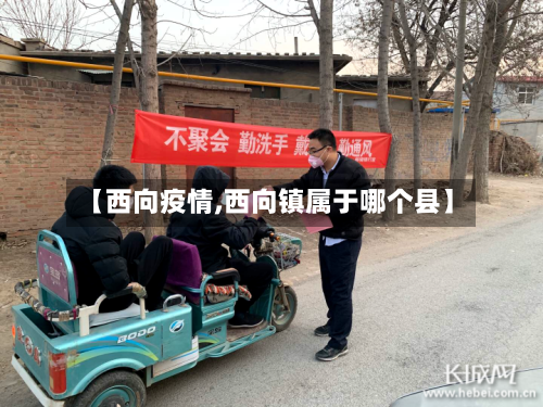 【西向疫情,西向镇属于哪个县】