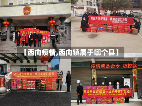 【西向疫情,西向镇属于哪个县】-第2张图片