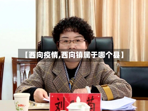 【西向疫情,西向镇属于哪个县】-第3张图片