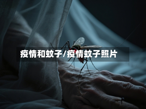 疫情和蚊子/疫情蚊子照片-第2张图片