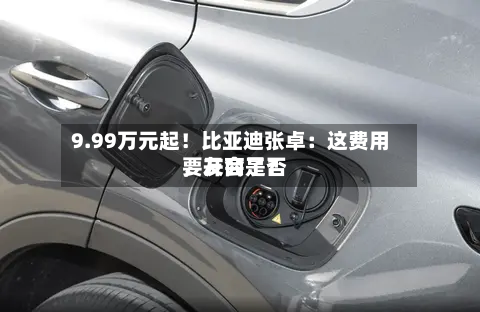 9.99万元起！比亚迪张卓：这费用，友商是否要开会了？-第2张图片