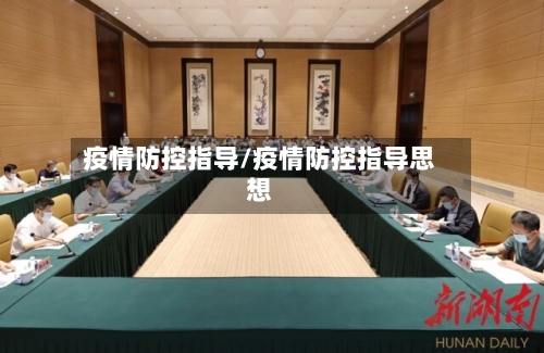 疫情防控指导/疫情防控指导思想-第2张图片