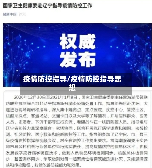 疫情防控指导/疫情防控指导思想