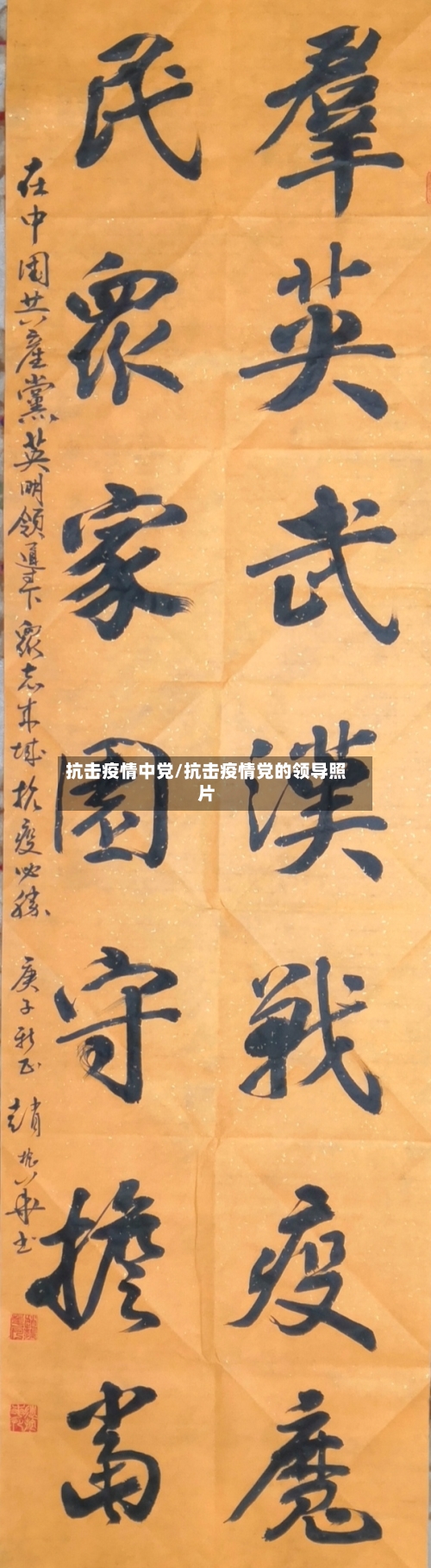 抗击疫情中党/抗击疫情党的领导照片