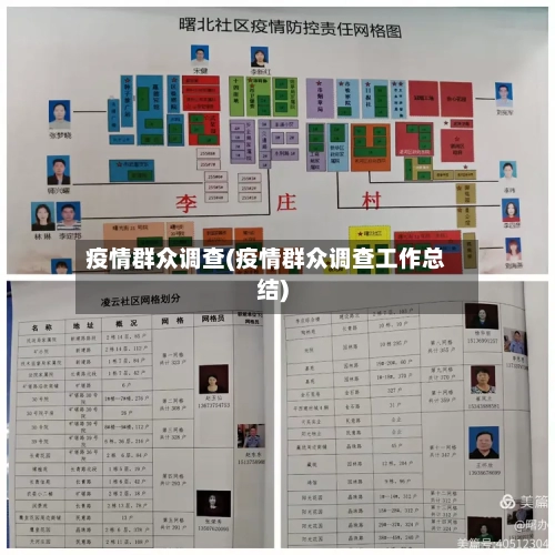 疫情群众调查(疫情群众调查工作总结)