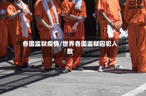 各国监狱疫情/世界各国监狱囚犯人数-第2张图片