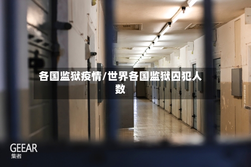 各国监狱疫情/世界各国监狱囚犯人数-第3张图片